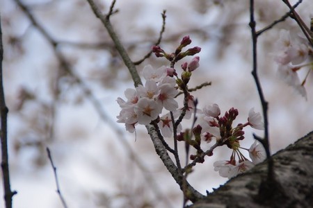 harima06.jpg
