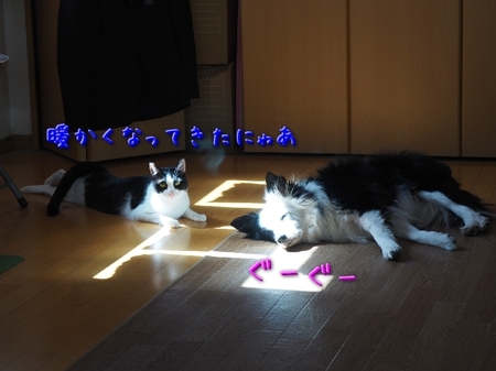 haru01.jpg