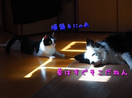 haru02.jpg