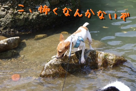 hatuka02.jpg