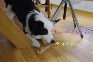 hidume2.jpg