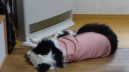 hotman01.jpg