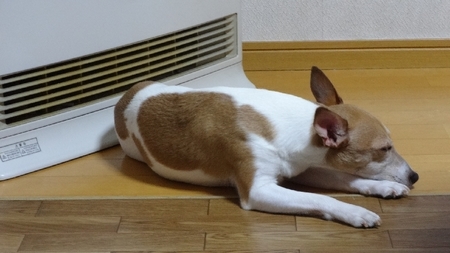 hotman02.jpg