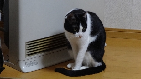 hotman03.jpg