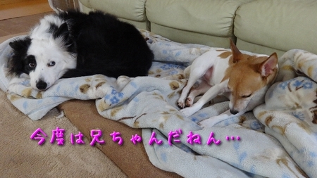 inful02.jpg