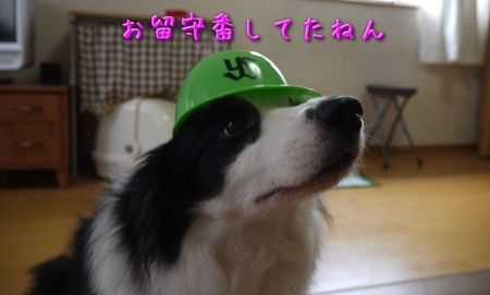jingu01.jpg