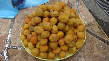 kabi02.jpg