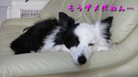kagi01.jpg
