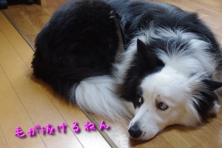 kanmou01.jpg