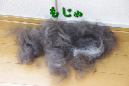 kanmou02.jpg