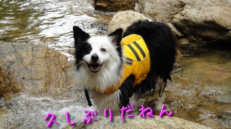 kawa01.jpg