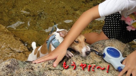 kawa03.jpg