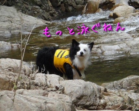 kawa04.jpg