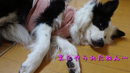 ke01.jpg