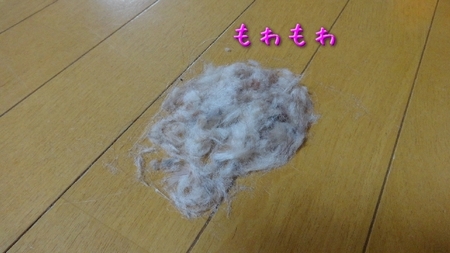 ke03.jpg