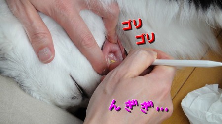 keikai02.jpg