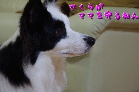 kight05.jpg