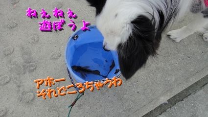 kobeturi06.jpg