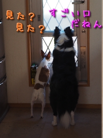 kojipo04.jpg