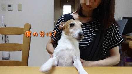 koyama02.jpg