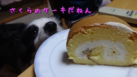 koyama03.jpg