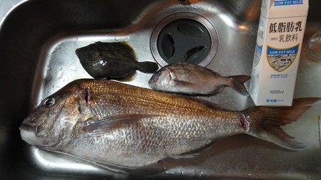 madai02.jpg