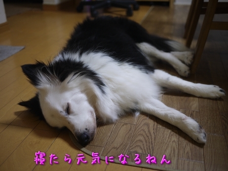 maek02.jpg
