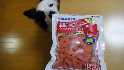 maguro01.jpg
