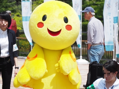 mahoroba02.jpg