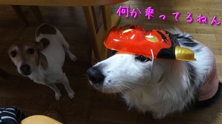 mame01.jpg