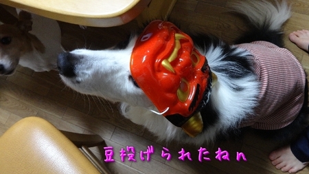 mame02.jpg