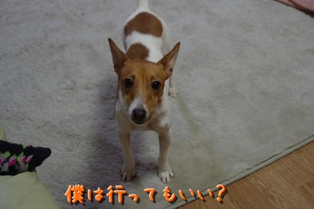 matu03.jpg
