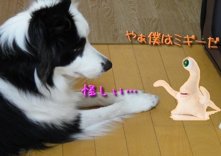migi01.jpg