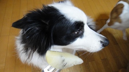 momo03.jpg
