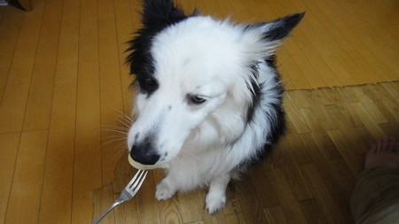 momo04.jpg