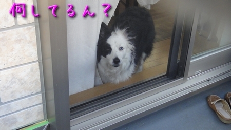 mura04.jpg