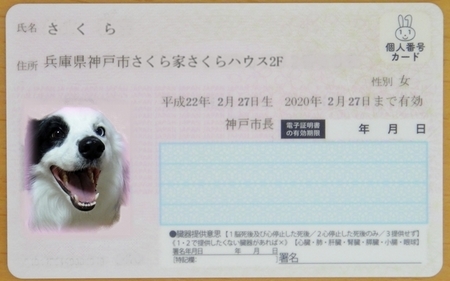 mynumber.jpg