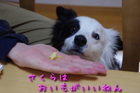 nakayosi04.jpg