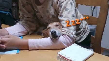nemui.jpg