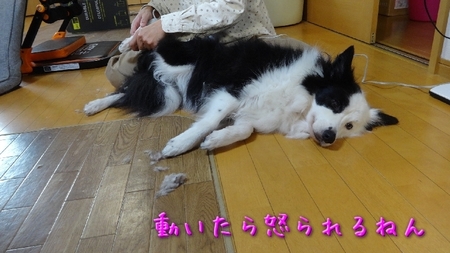 nikukyu01.jpg