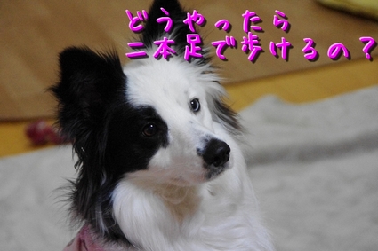 nisoku01.jpg
