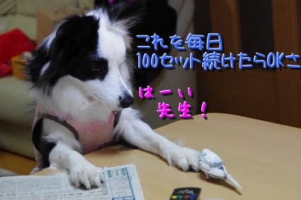 nisoku04.jpg