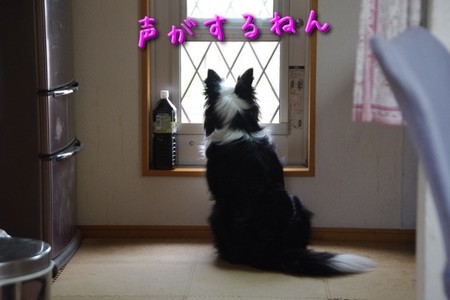 nozoki01.jpg