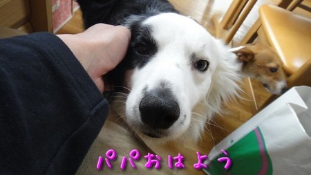 ohayo.jpg