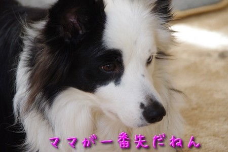 ohayo01.jpg