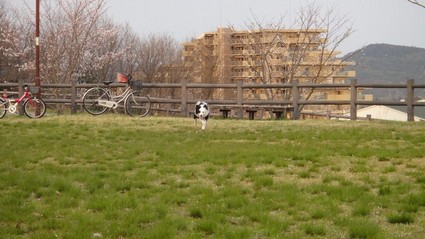 oide01.jpg