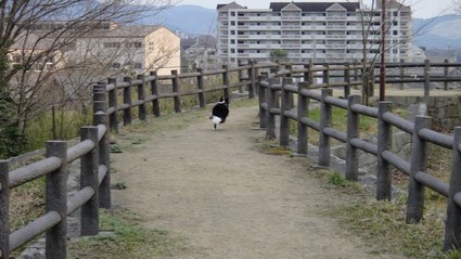 oide02.jpg