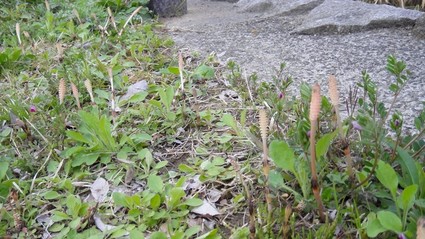 oide04.jpg