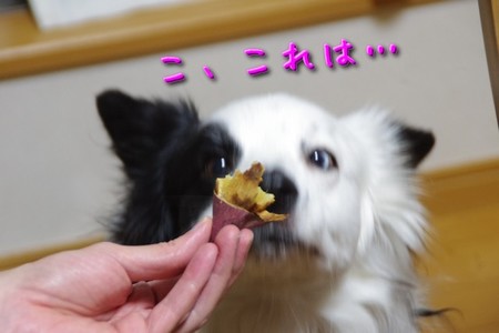 oimo01.jpg