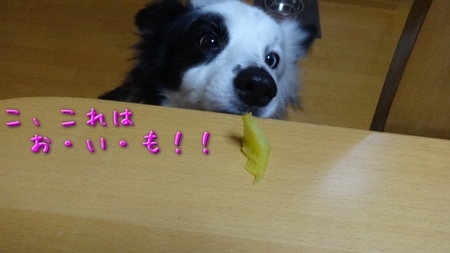 oimo03.jpg